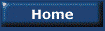 home page link