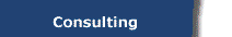 Consulting link